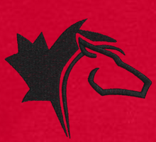 Load image into Gallery viewer, CAN PRAXIS RED POLO SHIRT